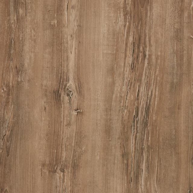 Arizona Pine